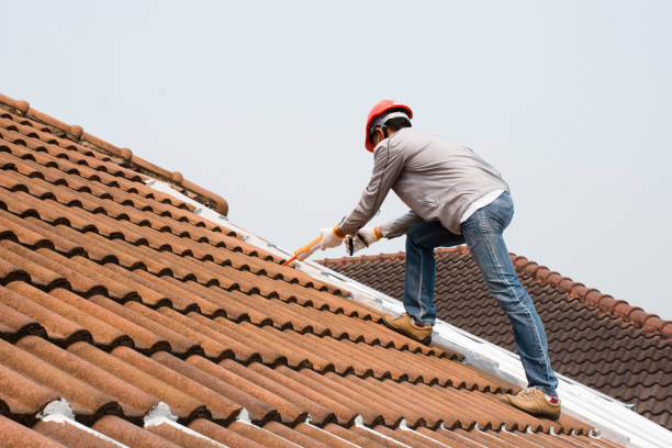 Best Roof Moss and Algae Removal  in Shiprock, NM