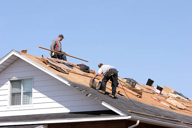 Best Metal Roofing Installation  in Shiprock, NM